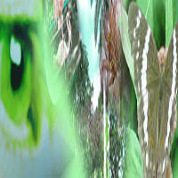 $imagenins.getAttribute(